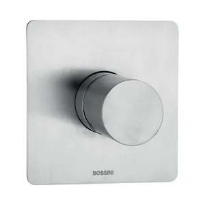 Смеситель для душа Bossini INZ070075 встраиваемый, на 1 выход, внеш. часть, атласная сталь