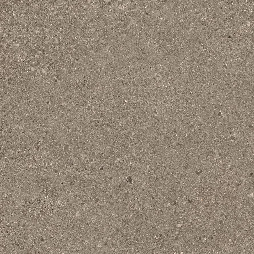 фон Grain Stone Taupe Rough Grain Naturale 60x60