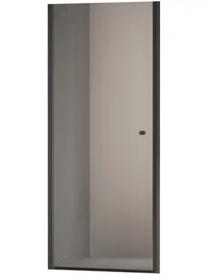 Душевая дверь RGW TN-03B (800х1950) распашная, стекло 6 мм, прозрачное/черный 54930308-14