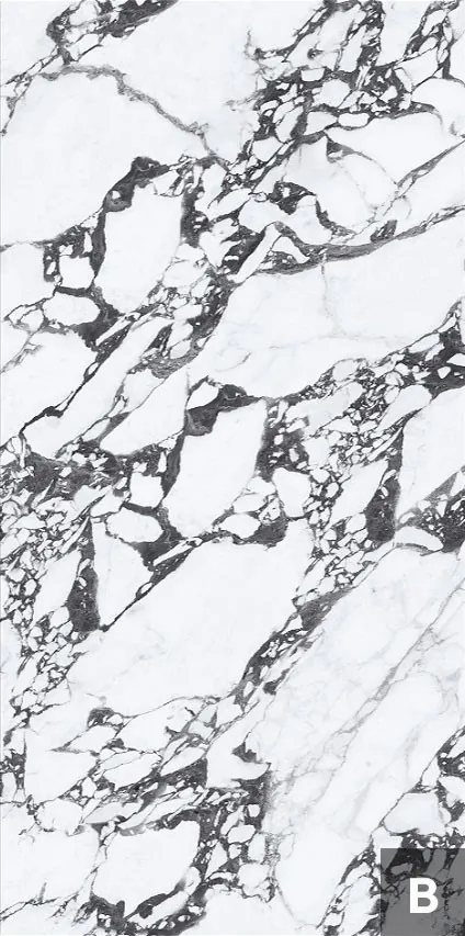 Tantai Jin Demon 120x240