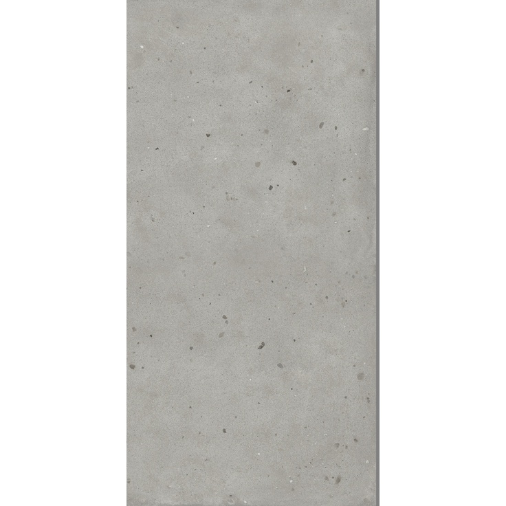 Avantgarde Silver 60x120