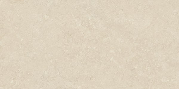 Genesis Moon White 120X60 матовая