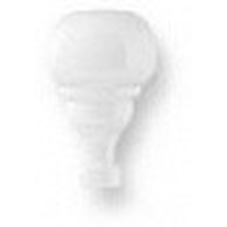 Ceramiche Grazia Boiserie TOA01 Est, Par, Bianco Matt, 6,5x3