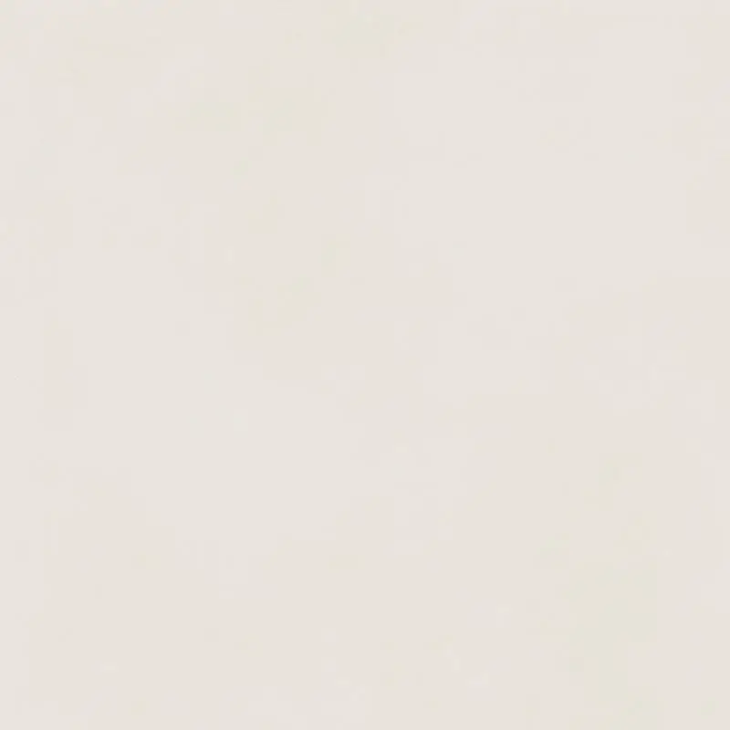 керамогранит FORUM SLIM POLAR 80 RET матовая