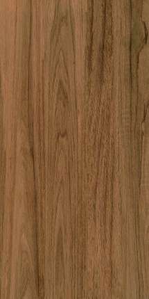 Porcelain Tile Greenwood Elite 60x120 матовая