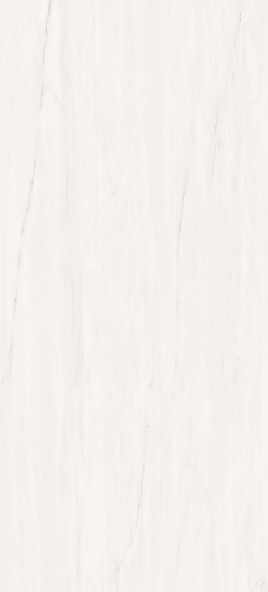 Marvel Stone Bianco Dolomite 50x110 глянцевая