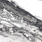 Terra Bianca Full Lappato 60x120