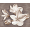 Azori Amati 584192003 Plumeria Alba 50,5x40,2
