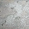 Mineral Decor Stars Silver 30X60