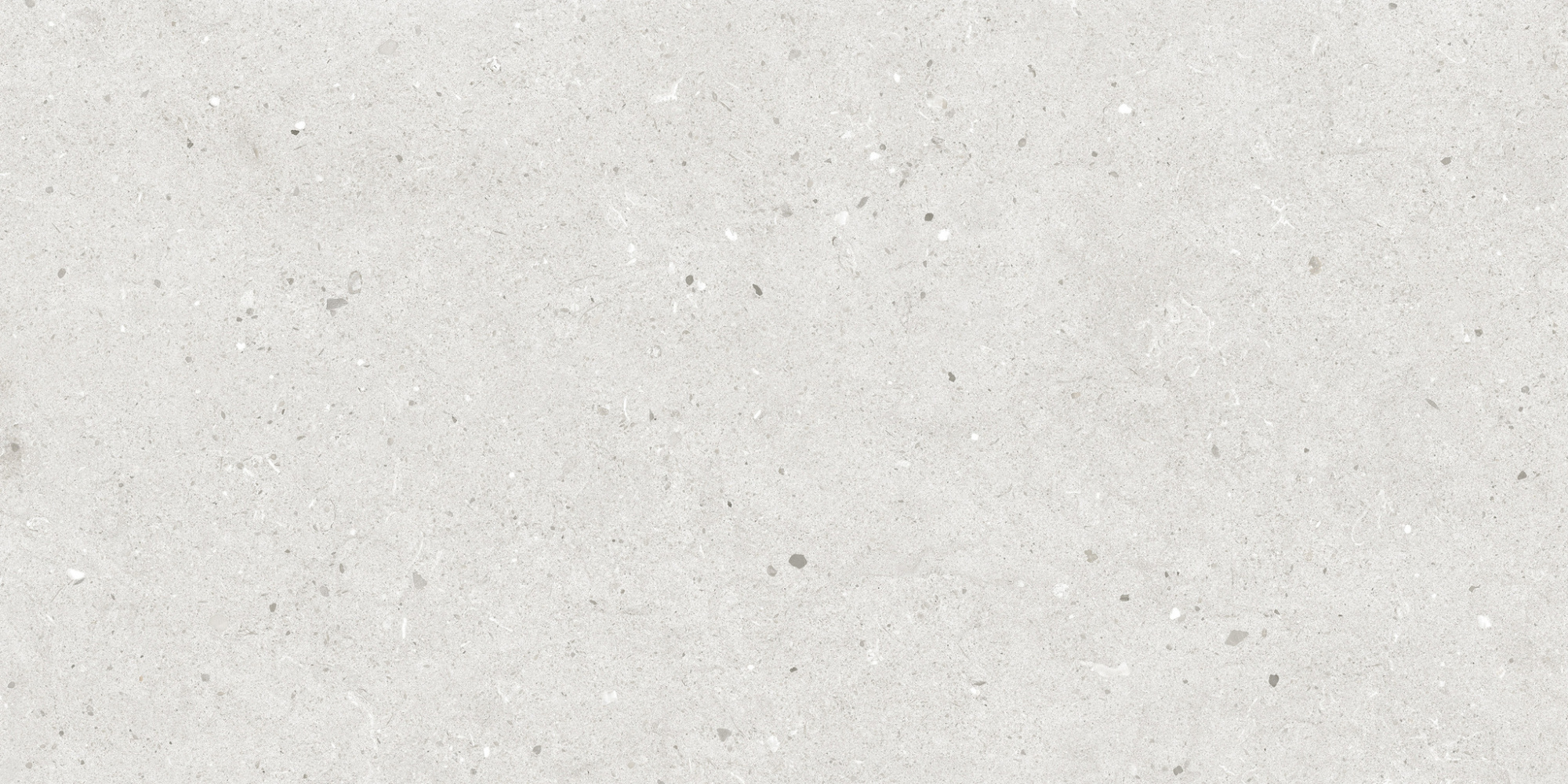 Spirit Bianco 60X120 матовая