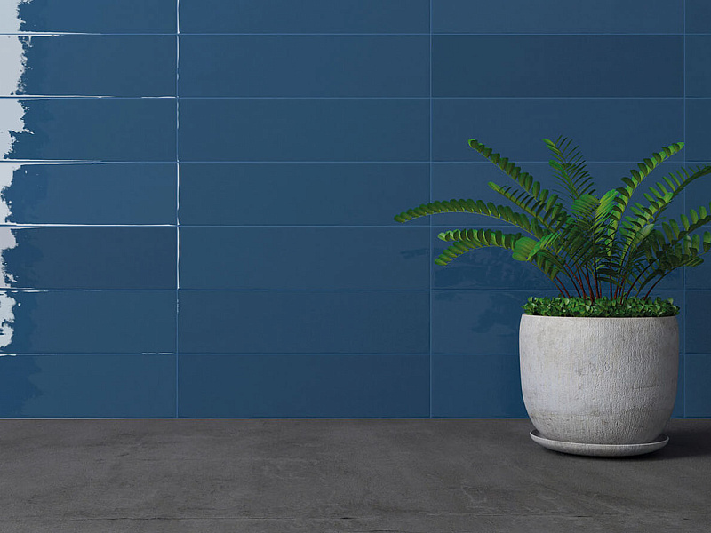 Gradient