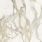 Fmg Maxfine Marmi L150365MF6 Calacatta Oro Luc 150x150