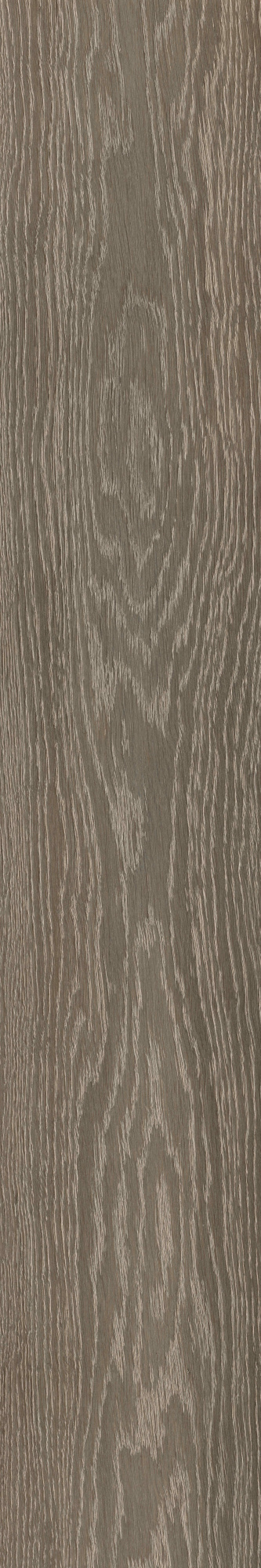 Deniza X 20X120 матовая