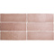 Equipe Magma 24961 Coral Pink 6,5x20