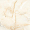 Collection Aquarious Onyx Beige Matt 80x80