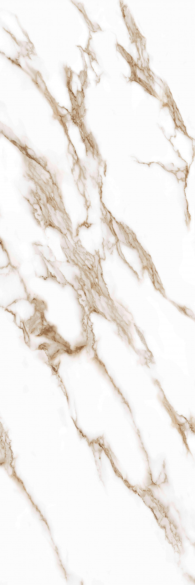 Shine Gold 30X90 глянцевая