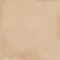Amuri Biscotto 20x20