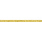 Bisazza Opus Romano 021241001D Oro 12.1 1,2x100