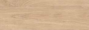 Calacatta Oro Wood Glossy 24,2X70
