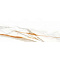 Calacatta Gold 39.6x119.2