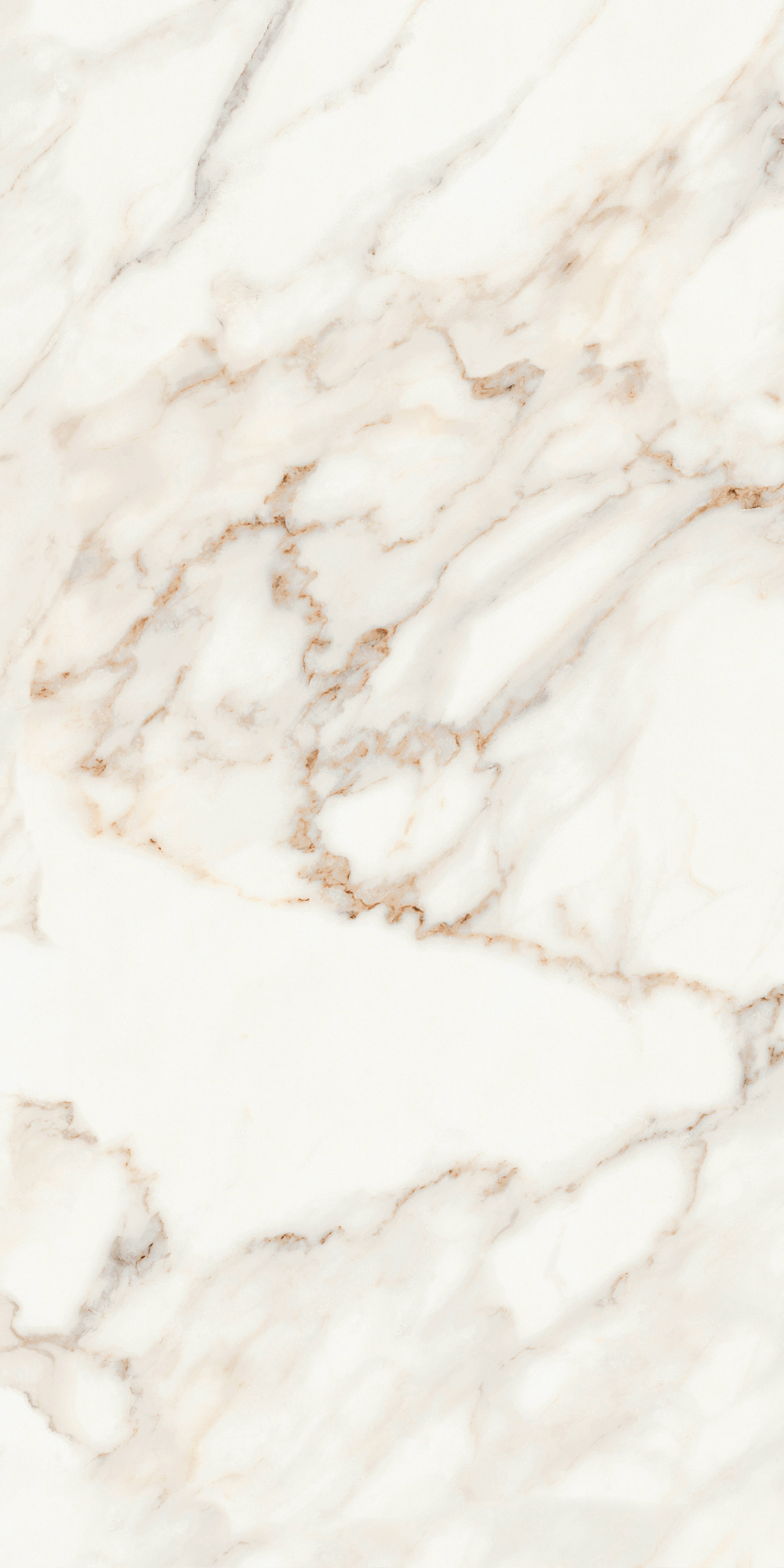 Calacatta Satin 60X120 сатинированная