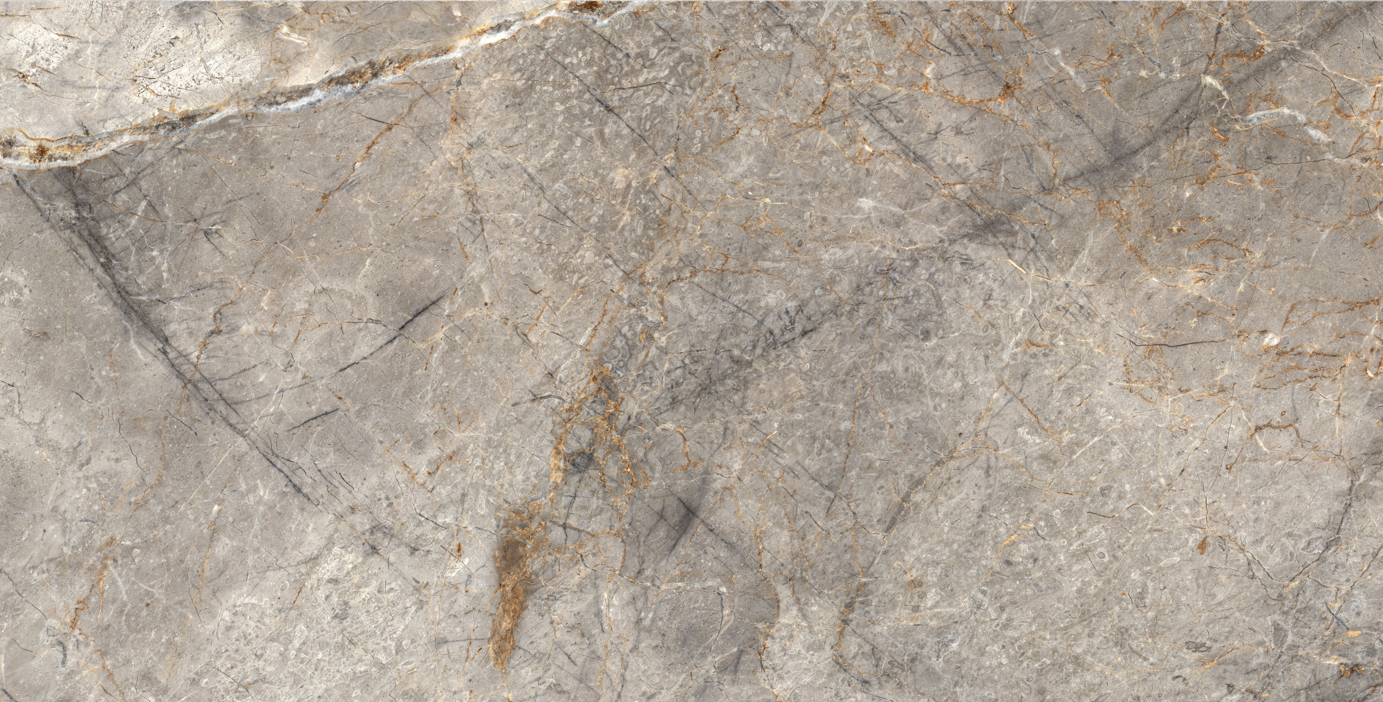 Manavgat Mocha Polished 60X120 полированная