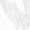 Calacatta White Rett 75X25