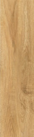 Calacatta Wood Essence Natural Glossy 62X15.5