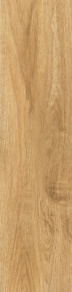 Calacatta Wood Essence Natural Glossy 62X15.5