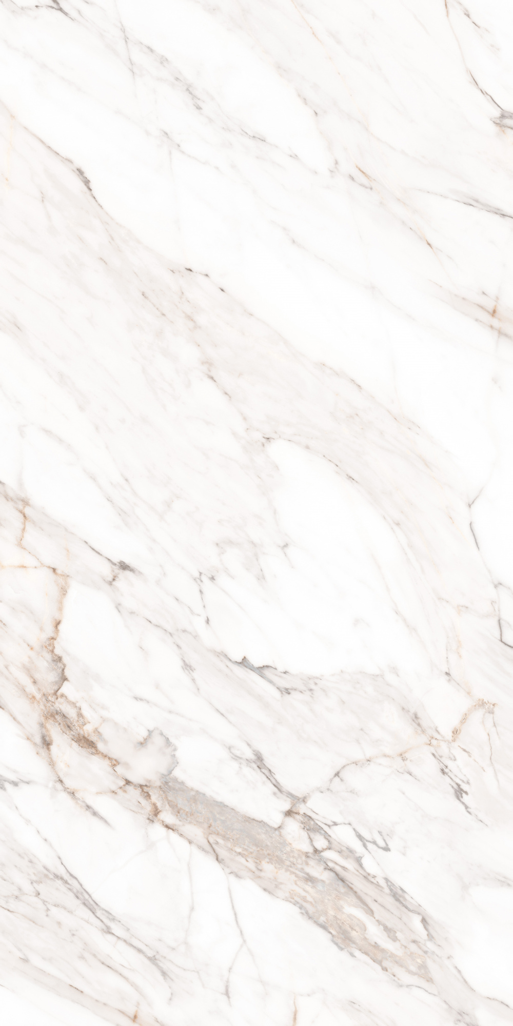 Calacatta Gold Polished 80X160 полированная