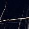 24,2x70 ROYAL NERO