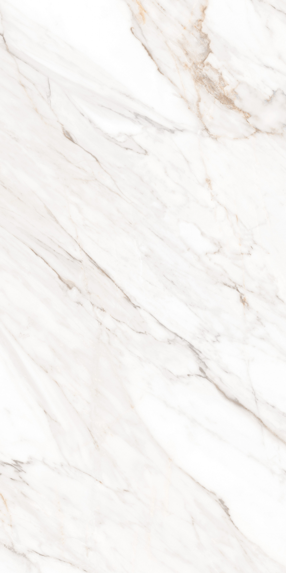 Calacatta Gold Satin 60X120 сатинированная