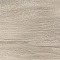 Daring Greige 24x120