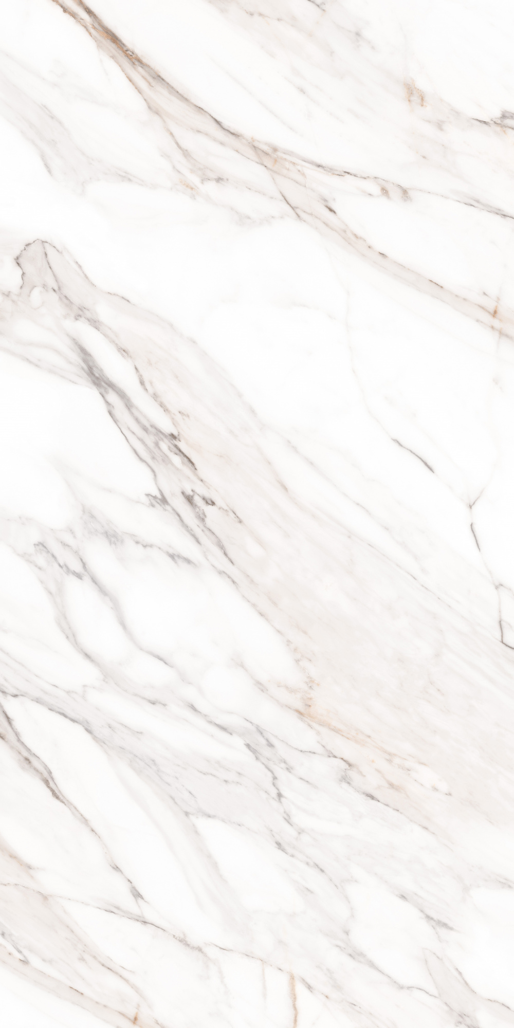 Calacatta Gold Satin 80X160 сатинированная