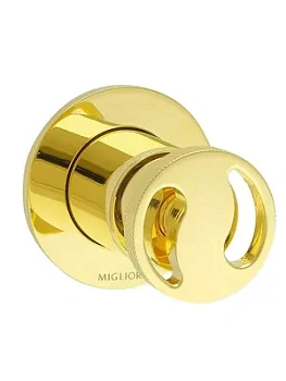 Смеситель Migliore настенный, скрытый монтаж, однозахватный, золото 28202