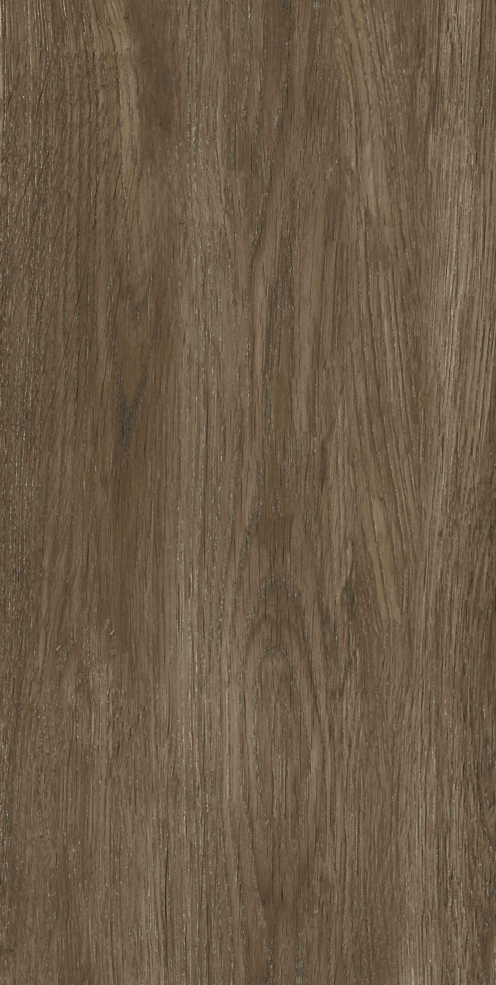 Mountain Bistre 25X50 матовая