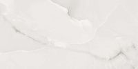 Onix Bianco R Glossy 24,2*70