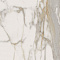 Charme Evo Calacatta 60X60