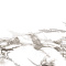 Royal Bianco 24,2x70