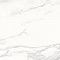 Calacatta Superb White Polished 60x120