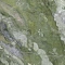 Marmi Classici Brilliant Green Luc  120X60