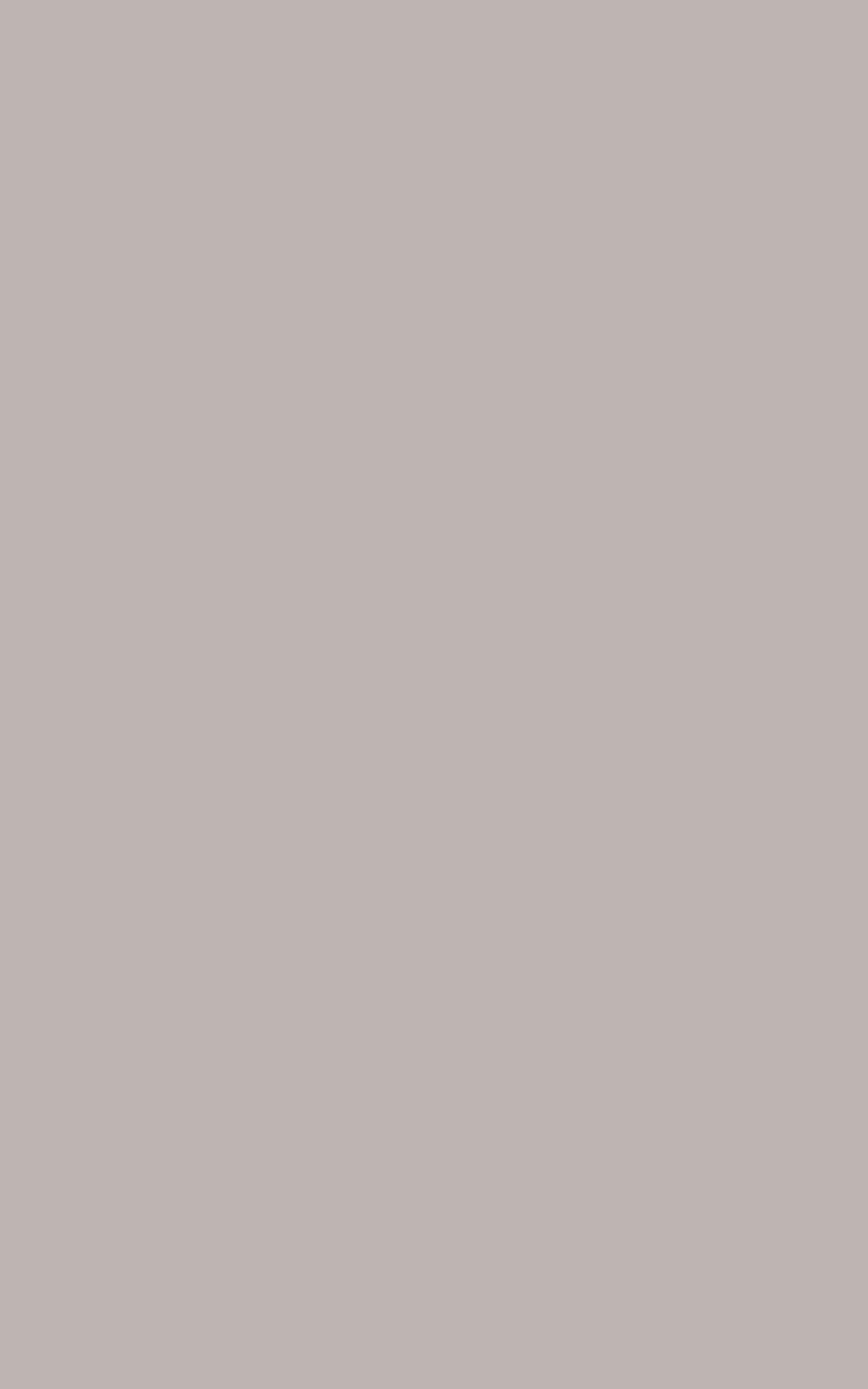 Monica Taupe 25X40 матовая