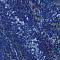 Marvel Dream Ultramarine 50x110