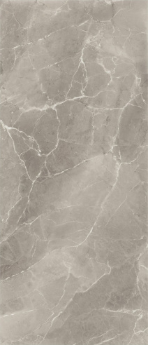 Purity Marble Elegant Grege Lux Polished 278X120