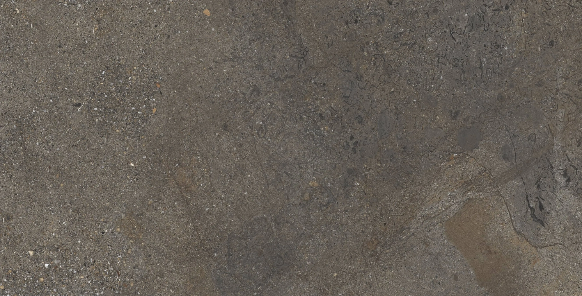 AXION COLD SATURN 60x120 структурированная