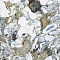 Citymarble Amazon Multicolor  Rectified 60X60