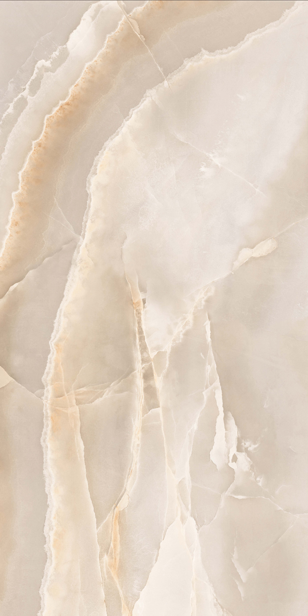 Carina Gold Polished 120X60 полированная