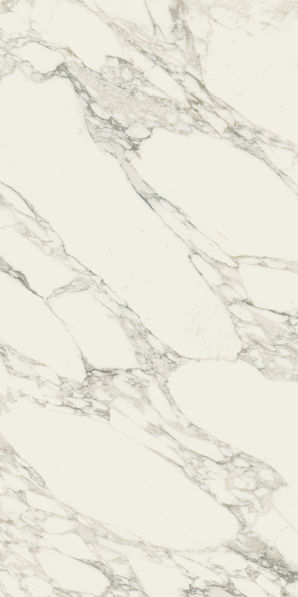 Charme Deluxe Arabescato White 160X80 610015000501 полированная