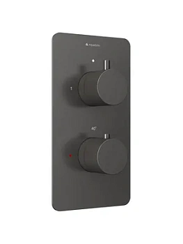 Смеситель для душа Aqueduto ACE0245 встраиваемый, термостат, 2 потребителя, оружейная сталь