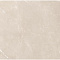 Vitrum Taupe Beigee 60x60